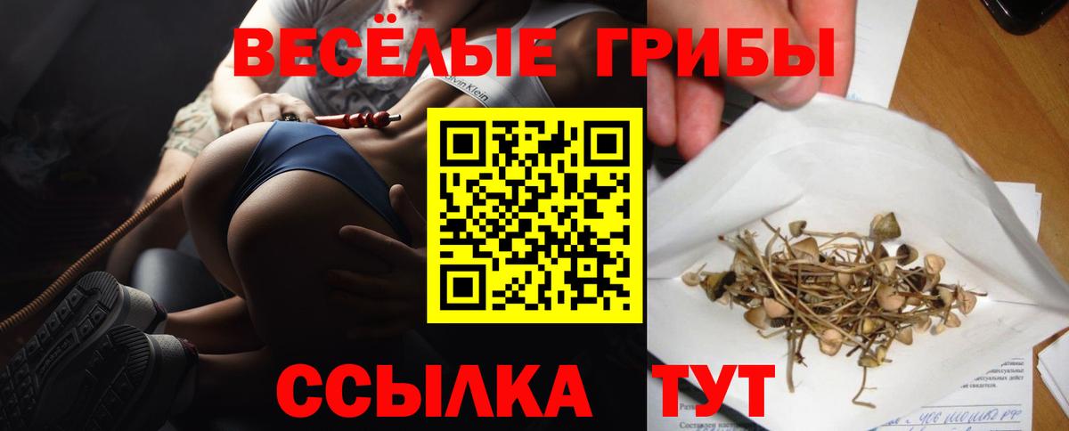 Будённовск  Галлюциногенные грибы Cubensis  Вход с VPN 